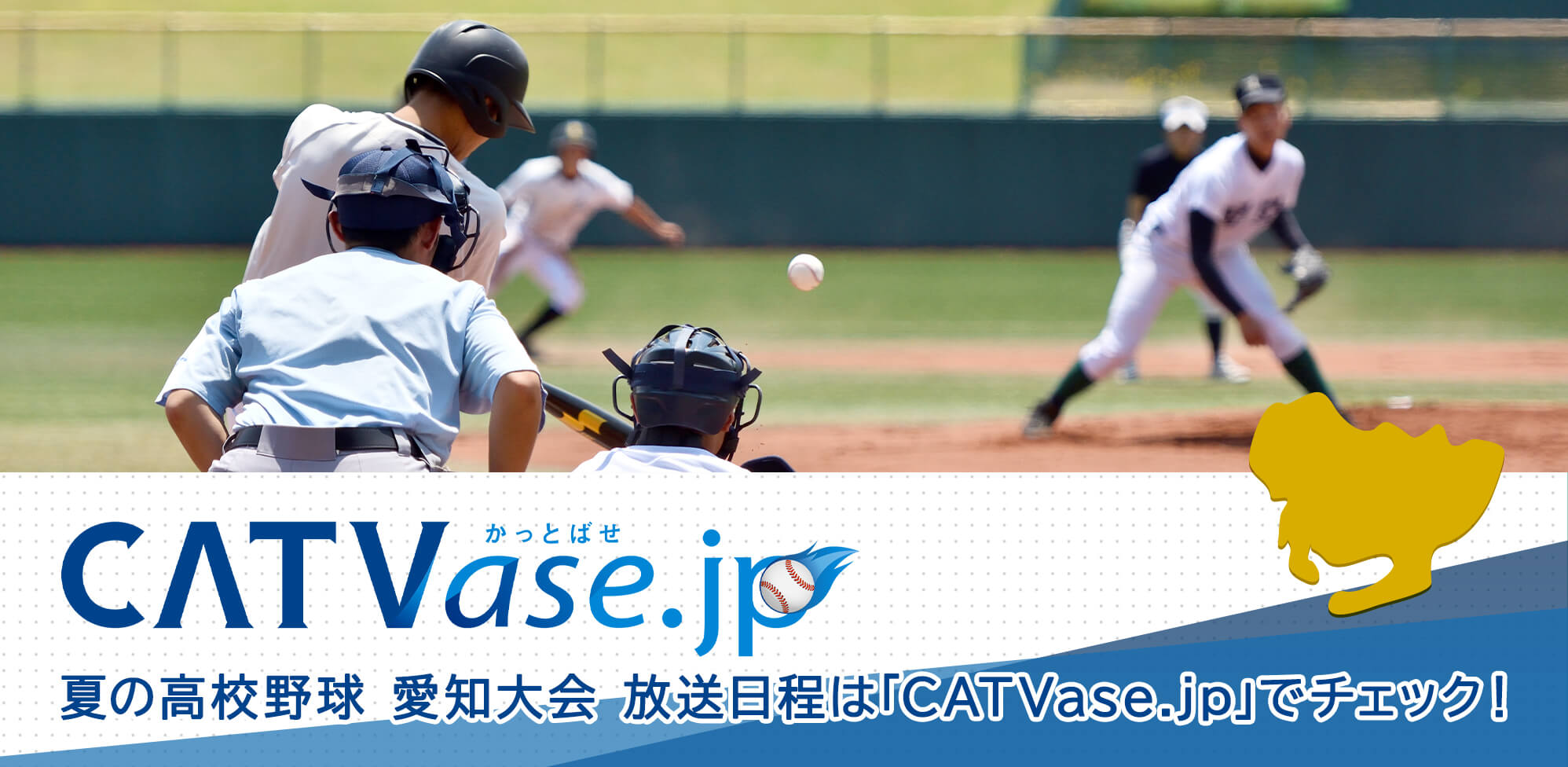 CATVase.jp