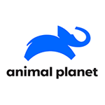 animal planet