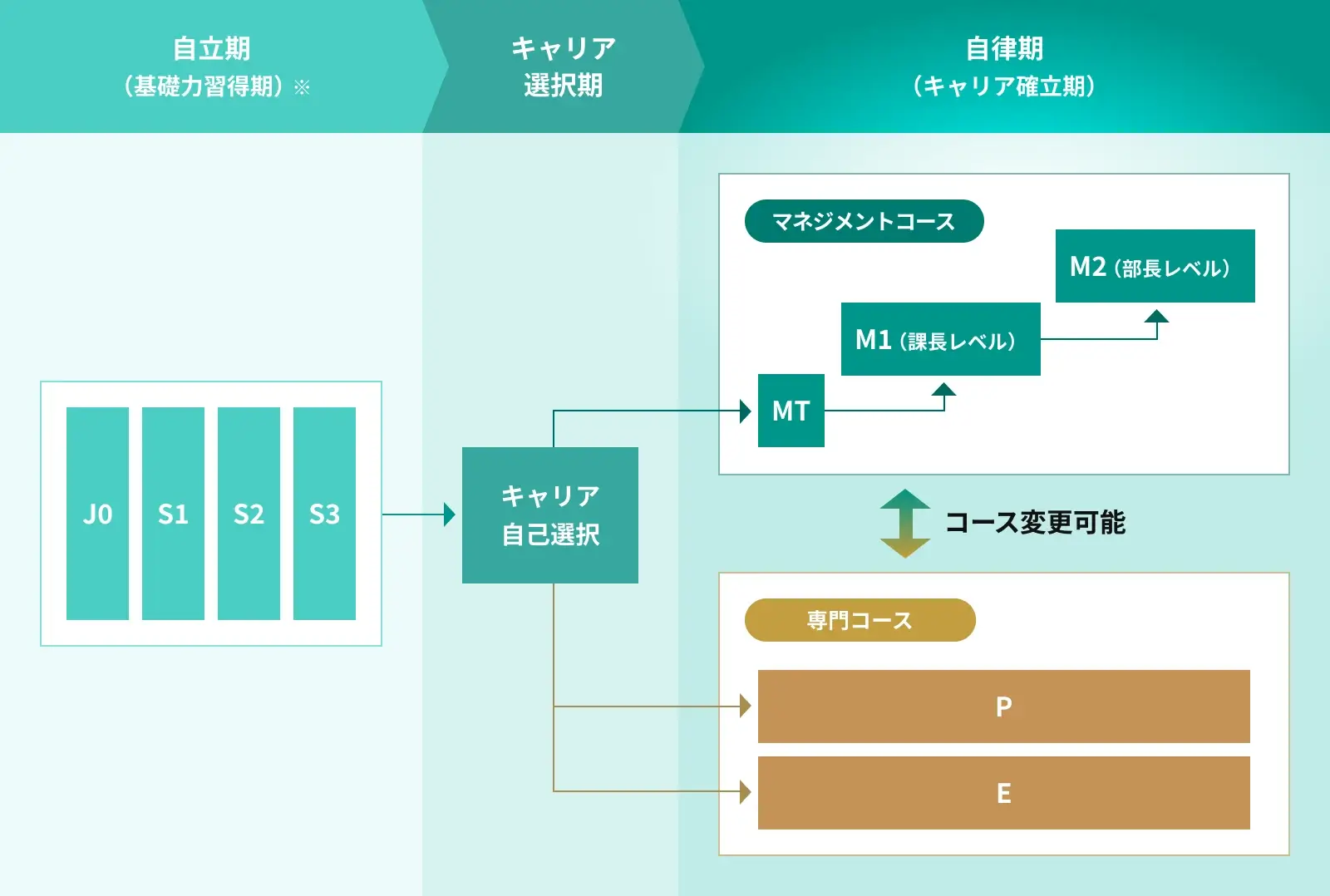 自立期（基礎力習得期）〜キャリア選択期〜自律期（キャリア確立期）の流れの図