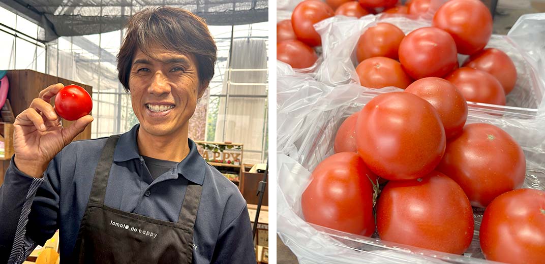 元気玉プレゼント!