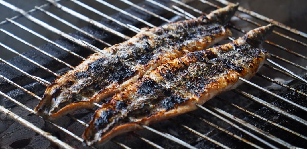 うなぎの勝○(しょうわ):うなぎの白焼き